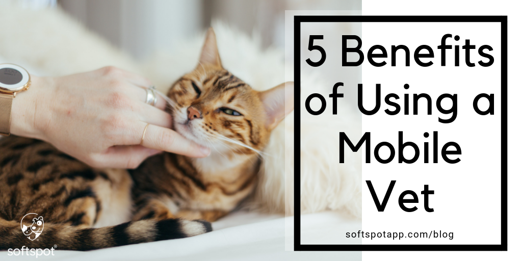 5 Benefits Of Using A Mobile Vet