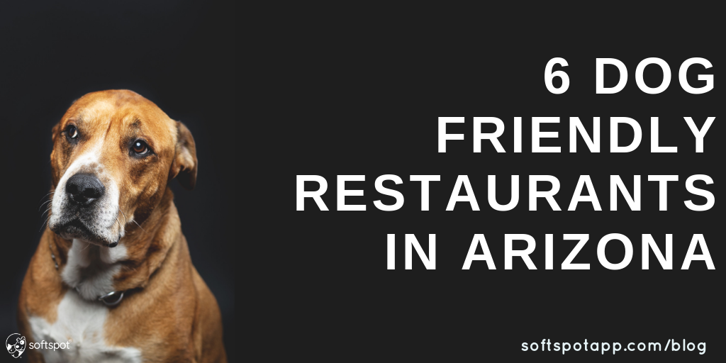 6 Dog-Friendly Restaurants In Phoenix, Arizona