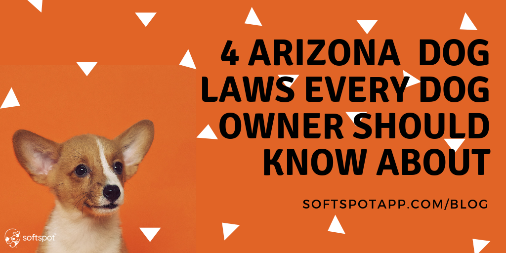 4 Arizona Dog Laws That Every Dog Owner Should Know About