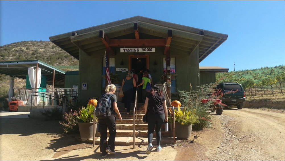 Have A Drink With Your Dog At These PetFriendly Vineyards & Wineries