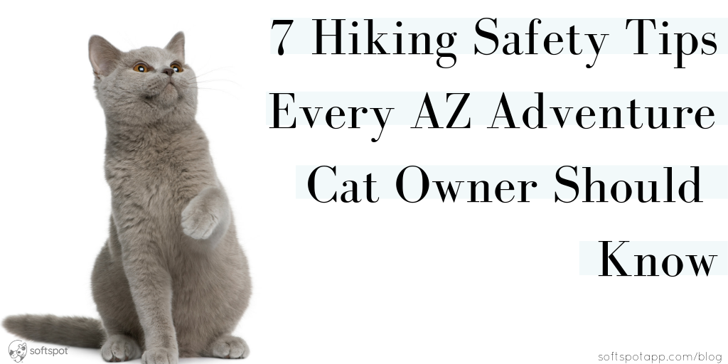 7 Hiking Safety Tips Every AZ Adventure Cat Owner Should Know