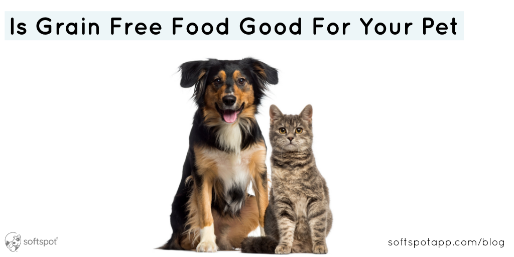 Is Grainfree Food Good for Your Pet? SoftSpot®